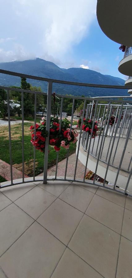 Evropa Hotell Gagra Exteriör bild