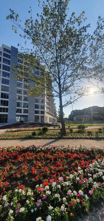 Evropa Hotell Gagra Exteriör bild